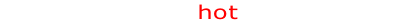 Tankless Boiler hot water heater